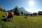 Psoarhof Seis | Urlaub auf dem Bauernhof