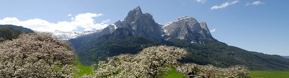 Psoarhof Siusi | Agriturismo