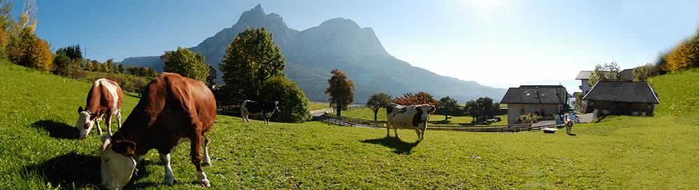 Psoarhof Seis | Urlaub auf dem Bauernhof