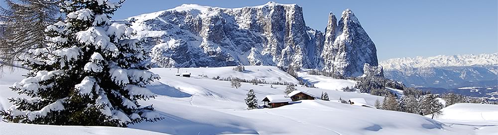 Psoarhof Siusi | Agriturismo