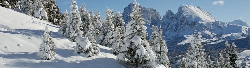 Psoarhof Siusi | Agriturismo