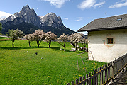 Psoarhof Siusi | Agriturismo