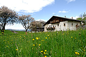 Psoarhof Seis | Urlaub auf dem Bauernhof