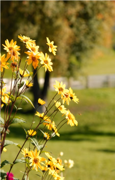 Psoarhof Siusi | Agriturismo